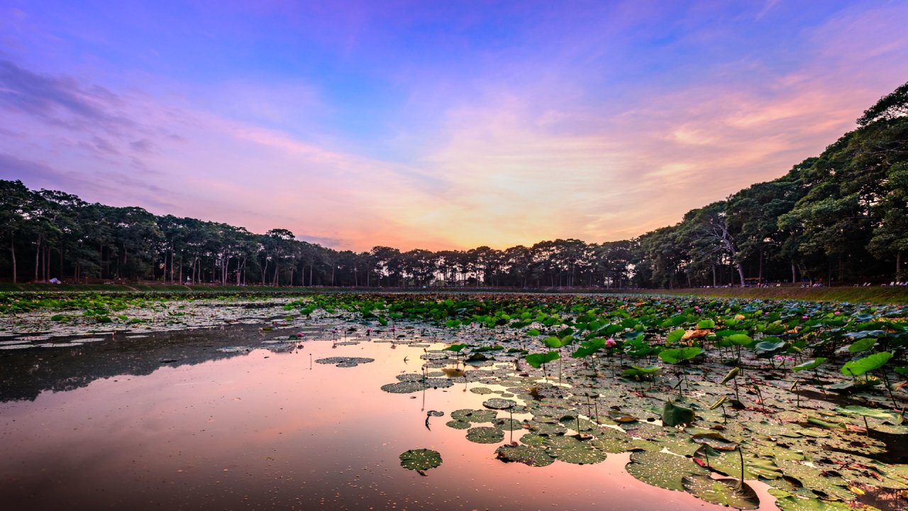 Cảnh đẹp Ao Bà Om