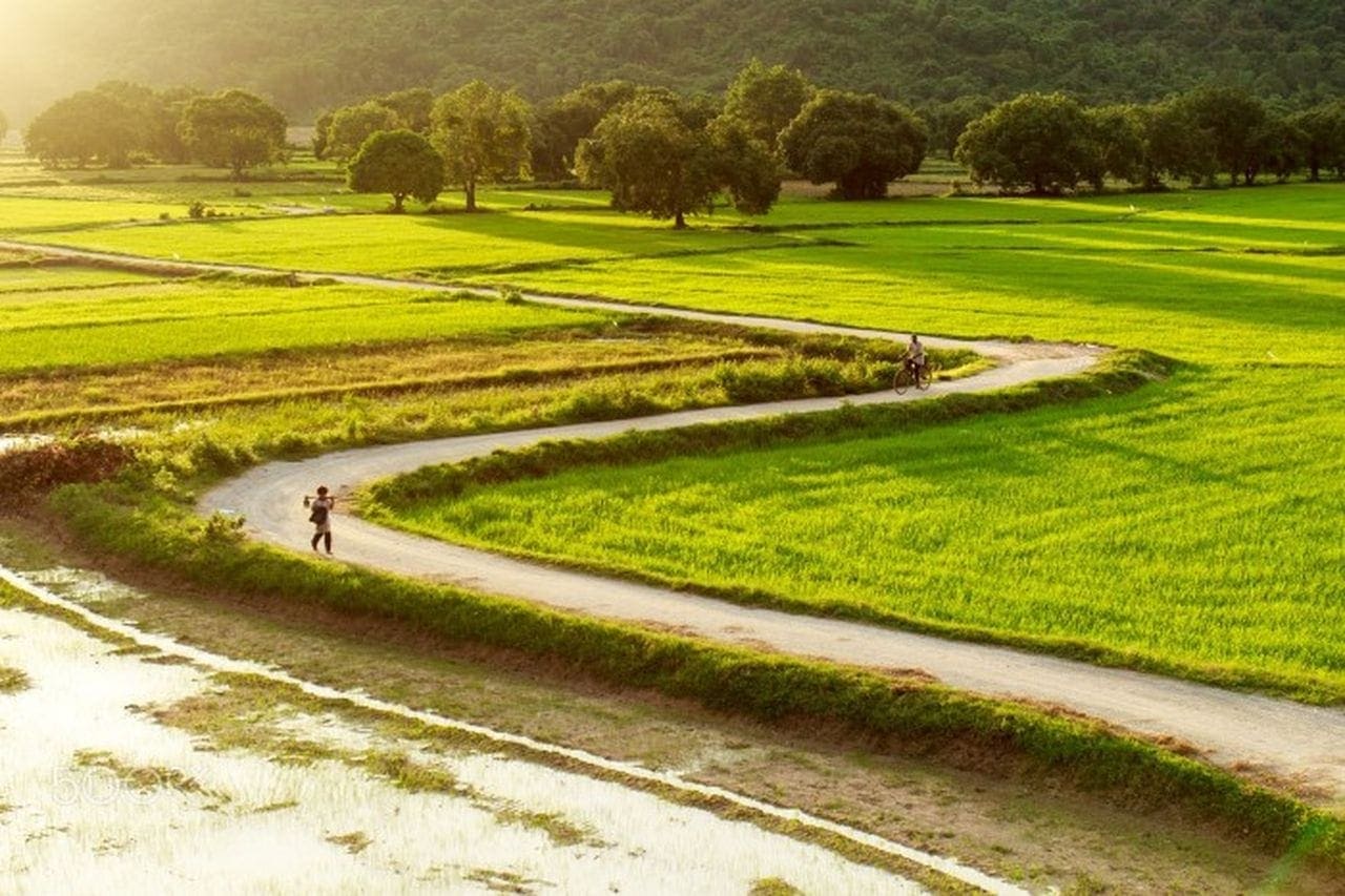 Cánh đồng Tà Pạ