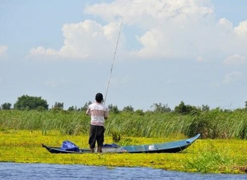 Thỏa sức câu cá thư giãn tại vườn Quốc gia U Minh