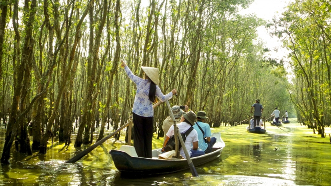 Về rừng tràm Trà Sư, đắm chìm trong không gian “xanh mướt mắt”