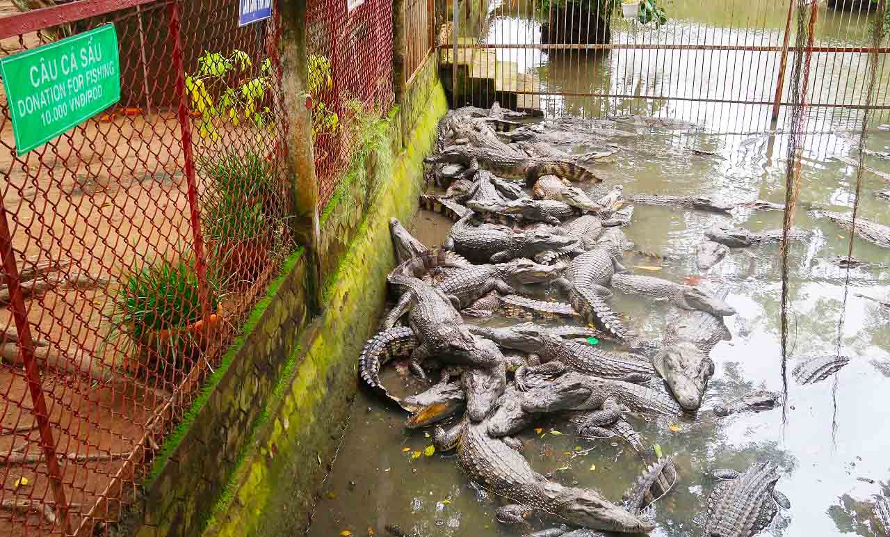 Cồn Phụng Tiền Giang