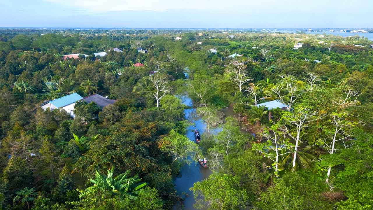 Cồn Tân Phong 