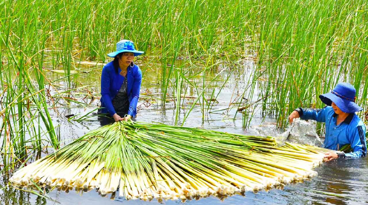 Đặc sản Bạc Liêu