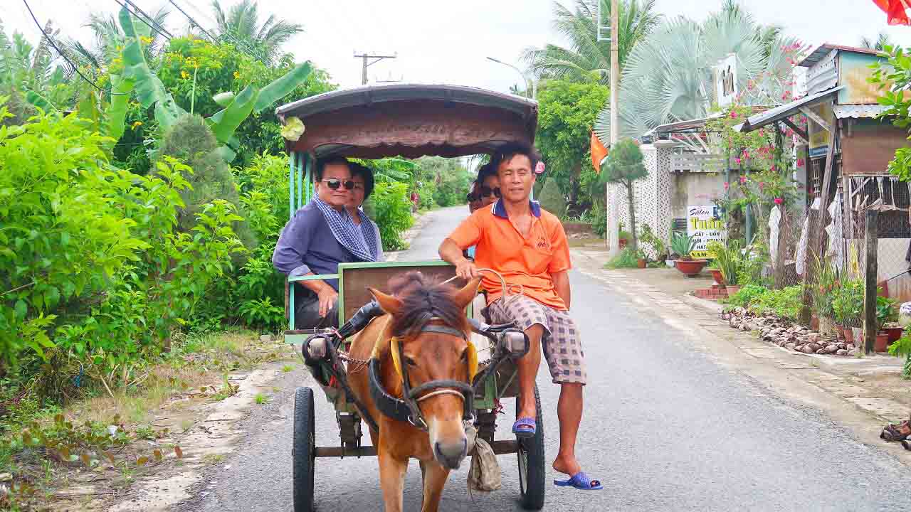 đi xe ngựa tại tiền giang