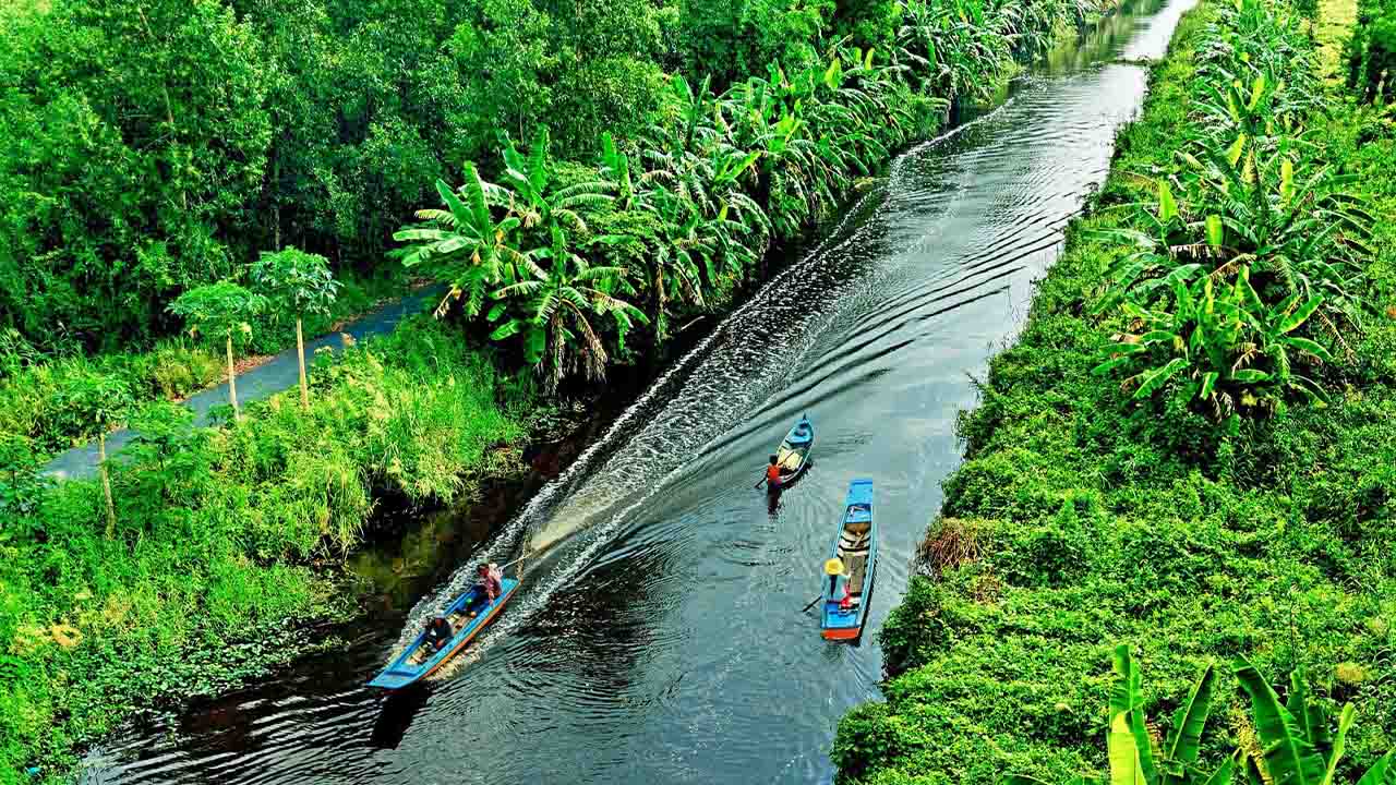 du lịch rừng u minh cà mau