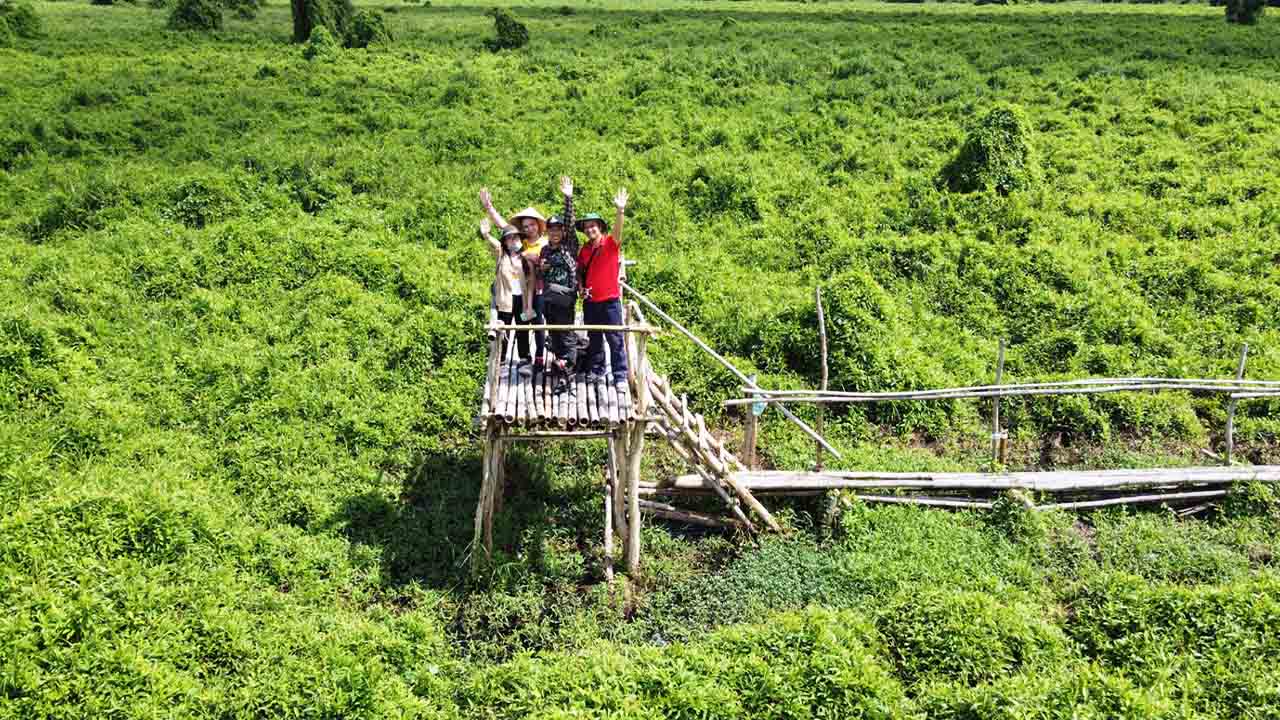 du lịch rừng u minh hạ