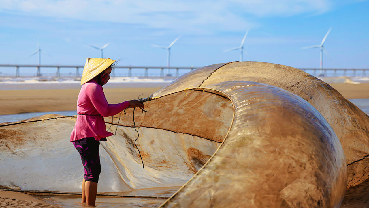 Hoạt động ngư dân