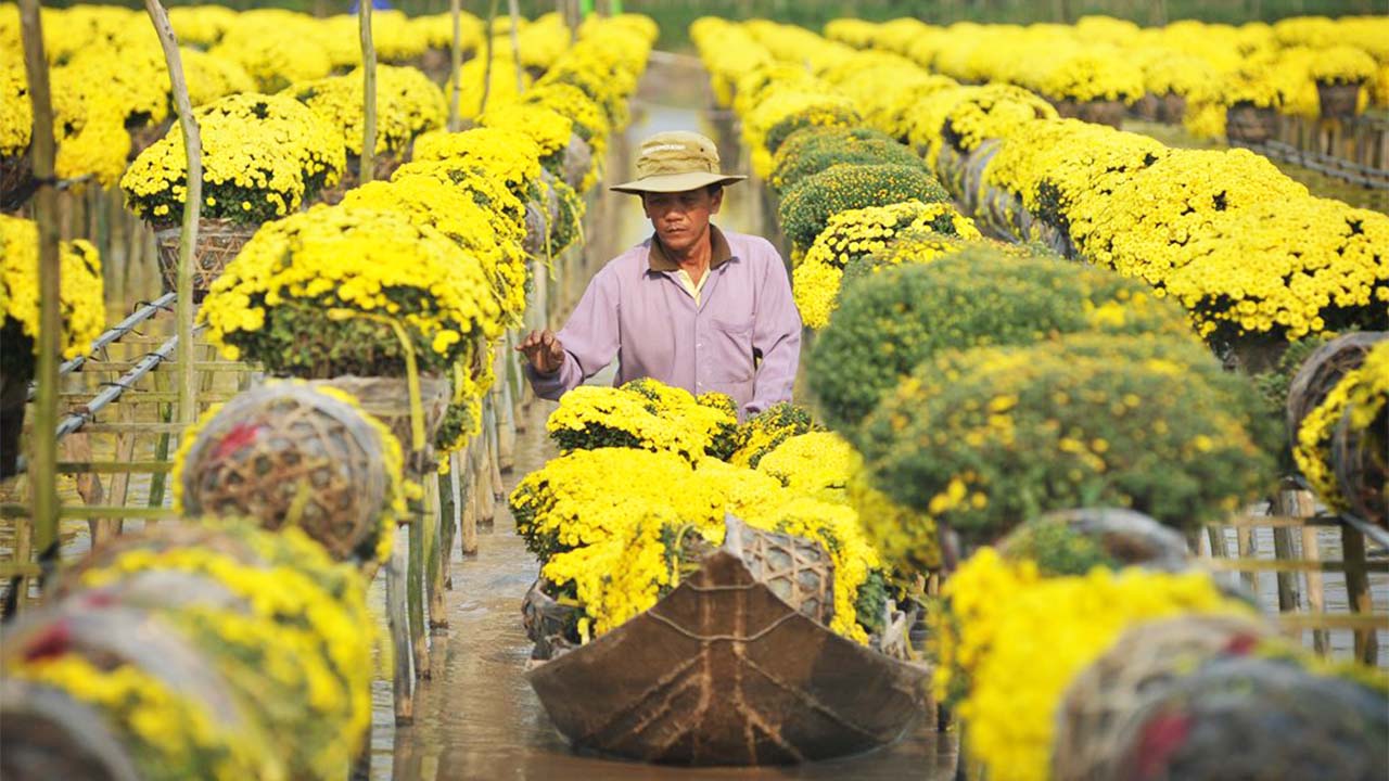 làng hoa kiểng sa đéc