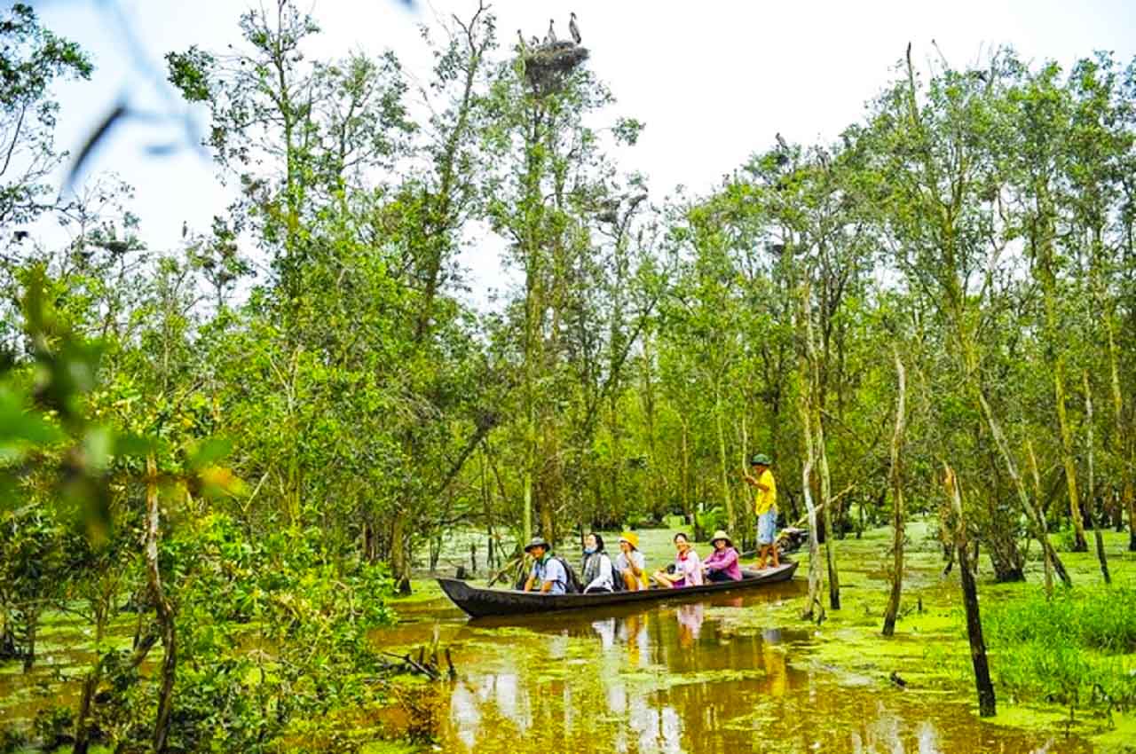 Xuyên qua rừng tràm nguyên sinh