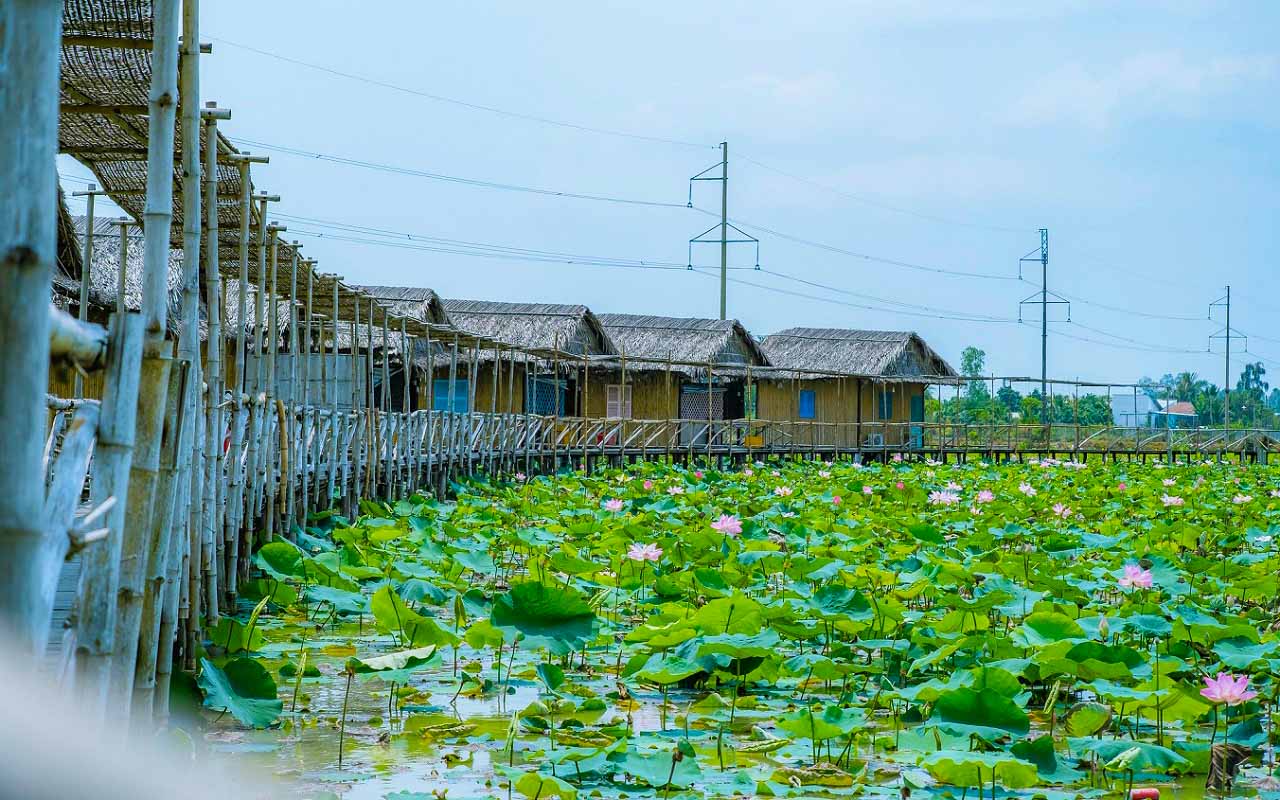 Những lưu ý khi đến du lịch Mỹ Phước Thành