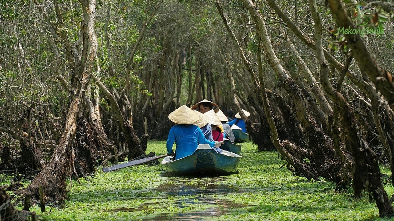 Rừng Trà Sư An Giang