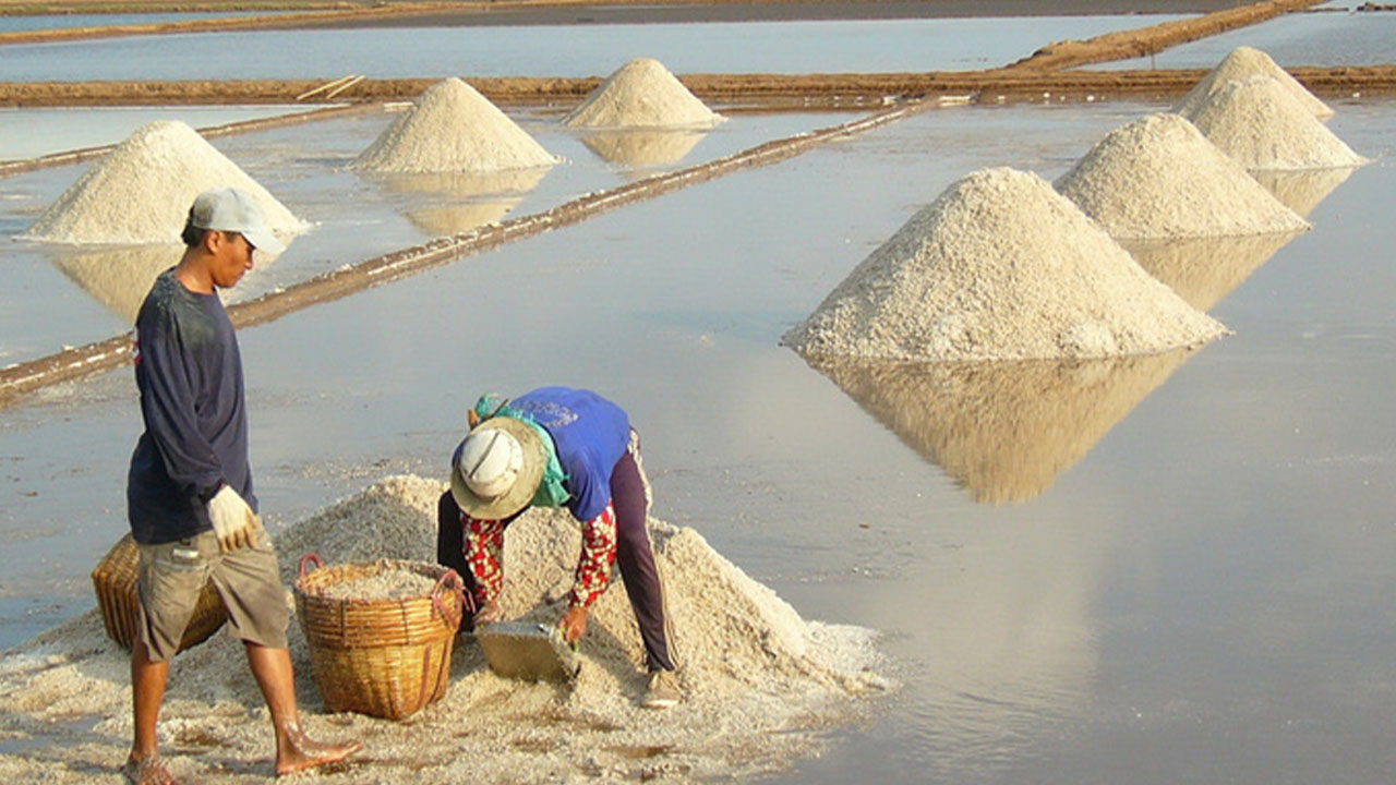 ruộng muối bạc liêu có gì hay