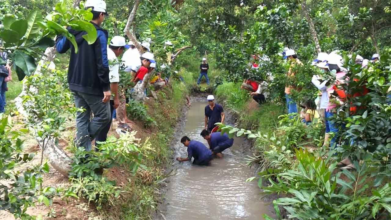 tát mương bắt cá