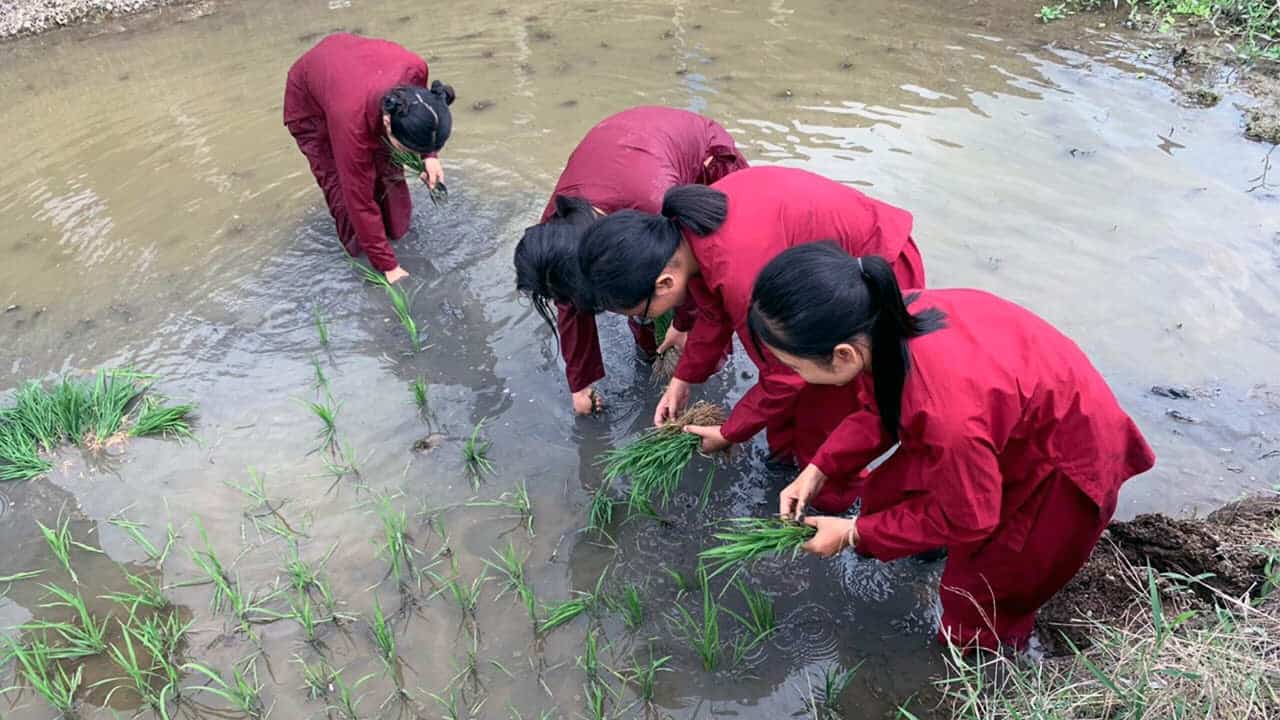 Tham gia trò chơi dân gian - Khu du lịch sinh thái Phương Nam đồng tháp