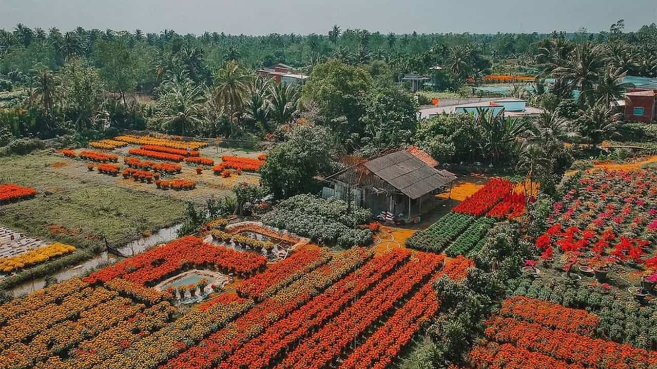 Vườn hoa Cái Mơn