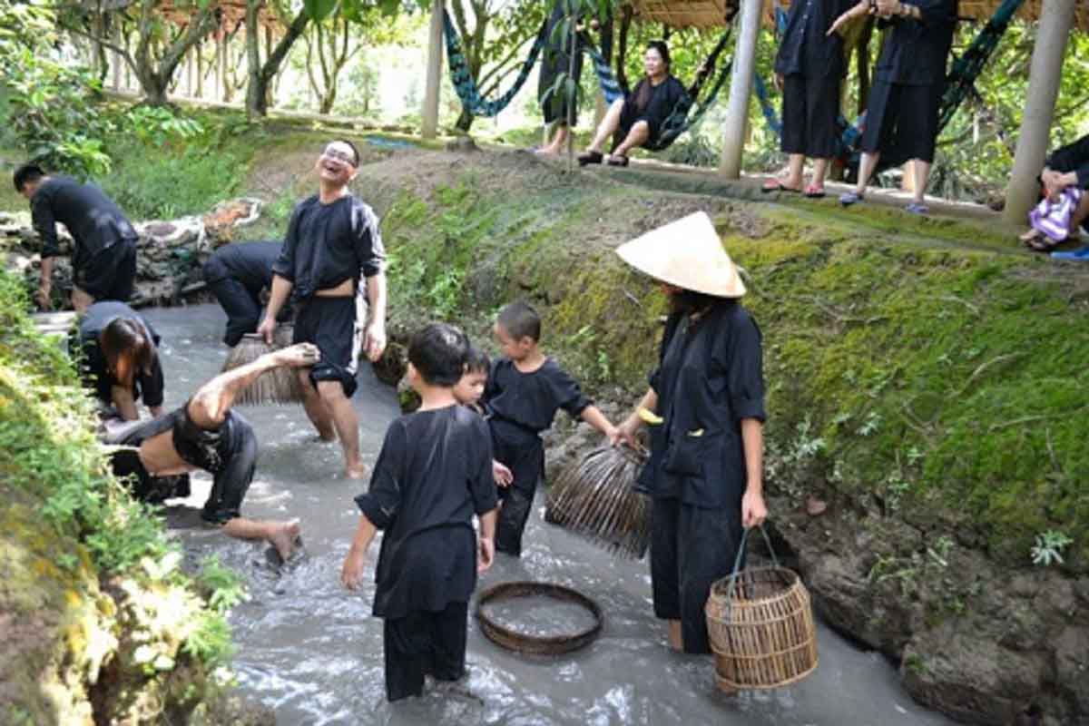 Tát mương bắt cá tại vườn trái cây ở Vĩnh Long