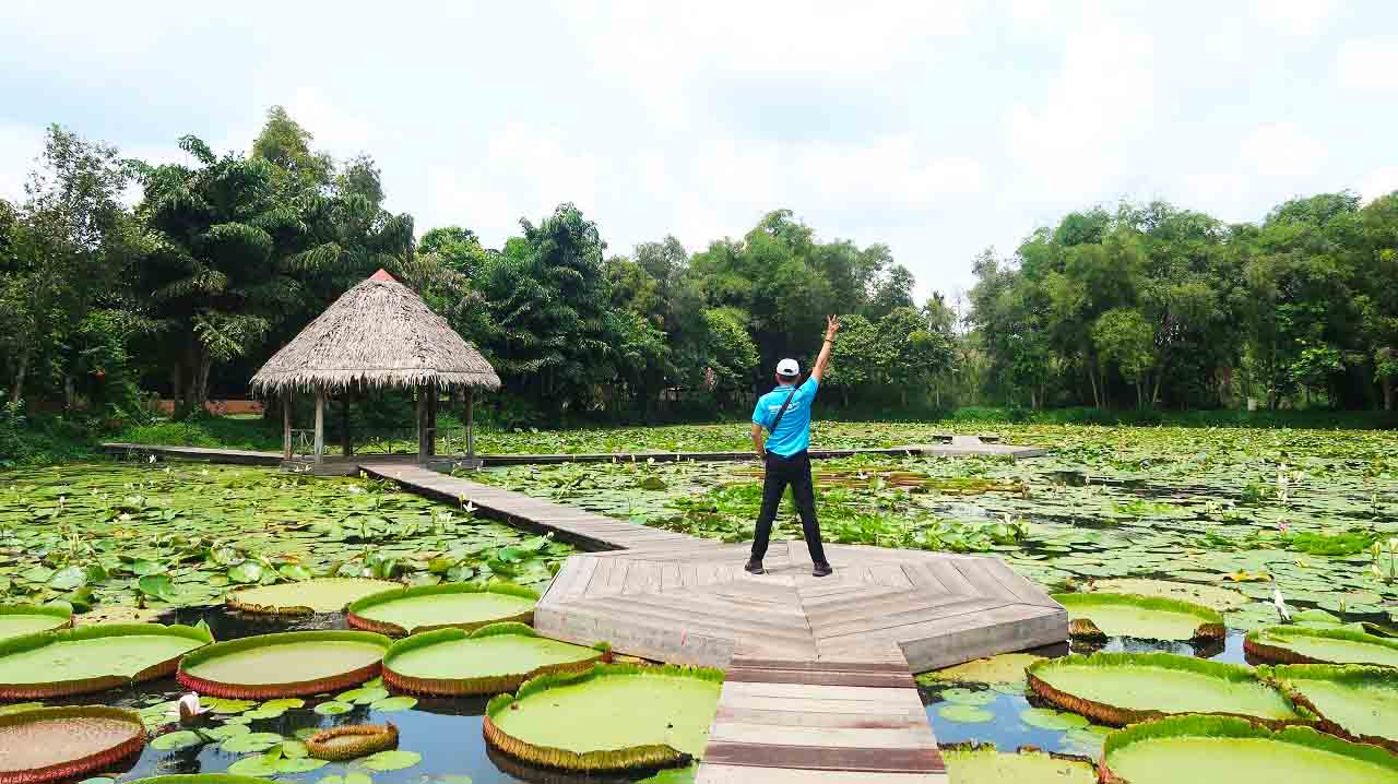 Đồng Tháp có gì chơi - Chụp ảnh tại ao sen